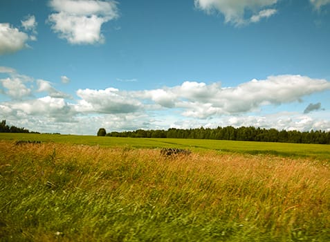 Huron County Terroir, Cornerfield Wine Co.